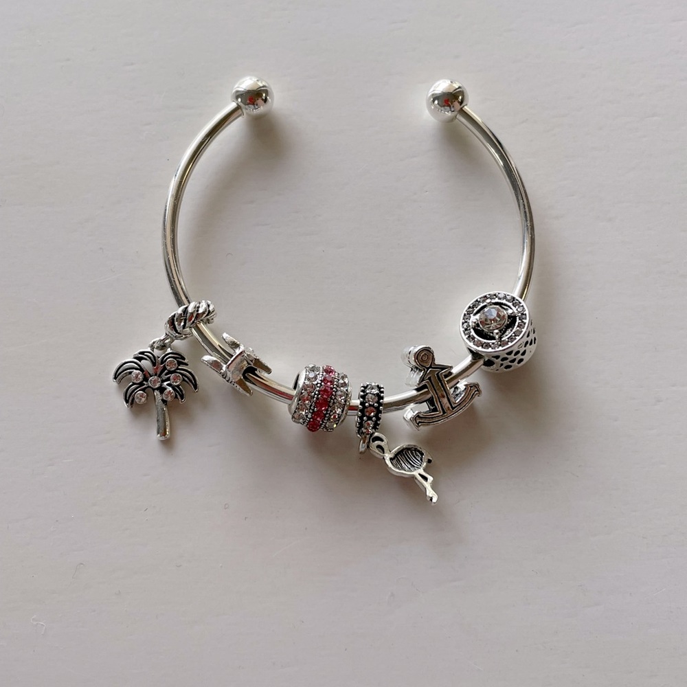 Brand new Pandora bracelet with 3 charms!